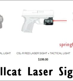 Springfield Laser
