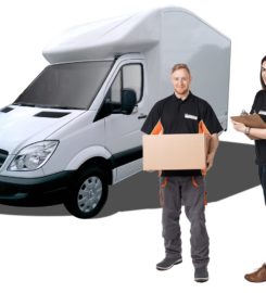 My House Removals