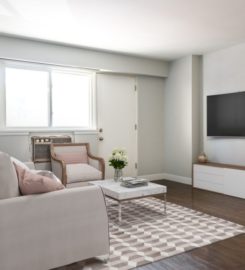 Globe Property Management