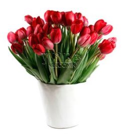 Wilbe Bloomin