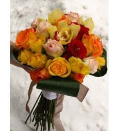 Wilbe Bloomin