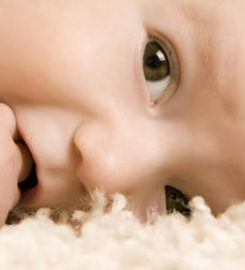 AA Carpet Cleaning Portland