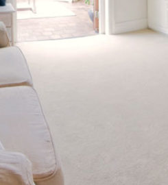AA Carpet Cleaning Portland