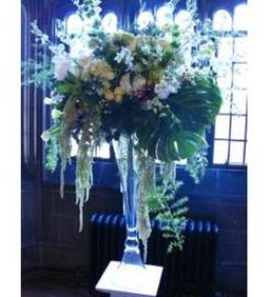 Wilbe Bloomin