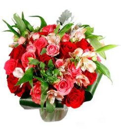 Wilbe Bloomin