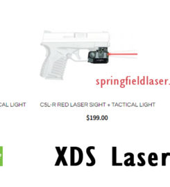 Springfield Laser