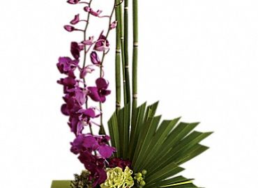 Lafayette Florist, Gift Shop & Garden Center
