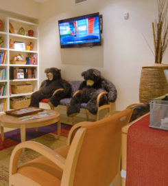 Woodhill Dental Specialties