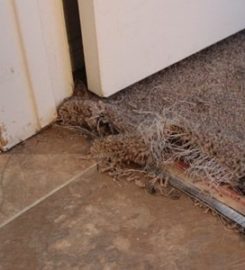 EXCELLENCE JANITORIAL SERVICES & CARPET CLEANING