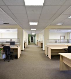 Healthy Home Carpet Cleaning