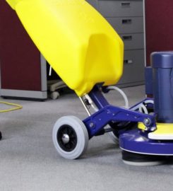 Healthy Home Carpet Cleaning