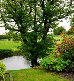 B&H Landscape and Tree Service