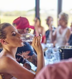 d'Vine Wine Tours