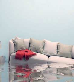 800 Public Adjusters