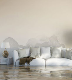 800 Public Adjusters