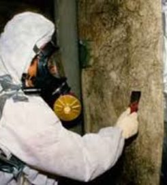 Central Avenue Asbestos Removal