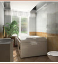 Queens Carpet Cleaning