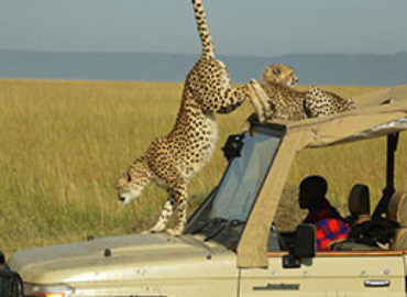 Madukha Tours and Safaris ltd