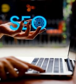 Web Development Company UAE