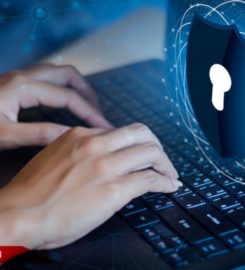 Web Development Company UAE