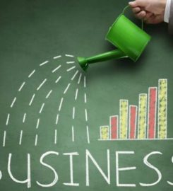 PingTreeSystems