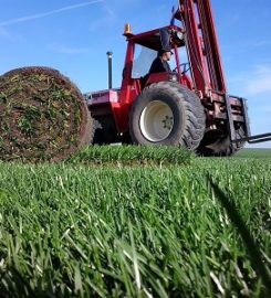 Buckeye Artificial Grass Co.