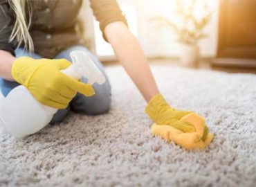 Carpet Cleaning Northampton and Around Your Town