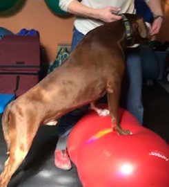 The Rehab Vets, LLC