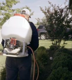 Maple Ridge Pest Control Guy