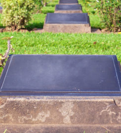 Memorials of Charleston