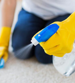Carpet Cleaning Group DC