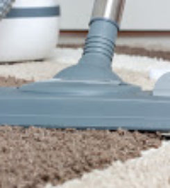 Clean Steam Carpet Cleaning