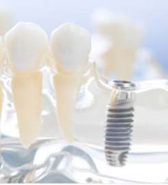 Millbank Dental Care