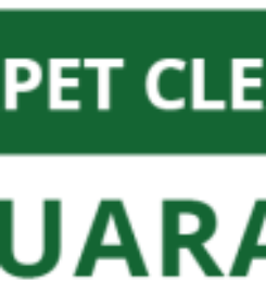 Clean Steam Carpet Cleaning