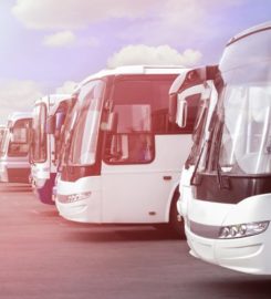 Gold Coast Pacific Tours