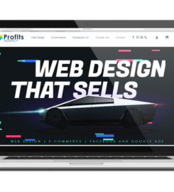 Profits Agency