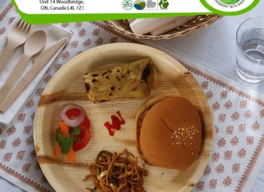 Eco Friendly Disposable Products in Canada