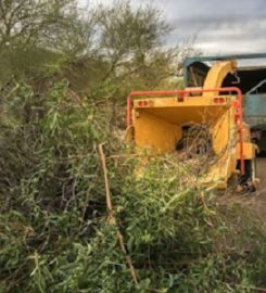 St Lucie Tree Service