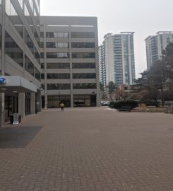 Process Server Toronto