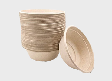 Eco Friendly Disposable Products in Canada