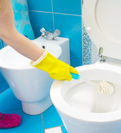 MPL Cleaning Services LLC
