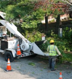 Oshawa Tree Service Ltd.