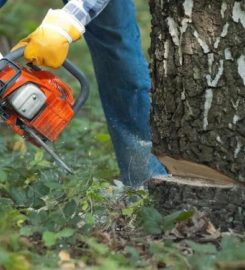 Caledon Tree Service