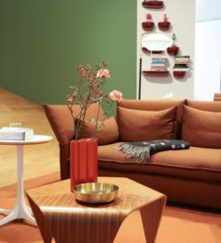 The Bloom Wellness and Therapy Center