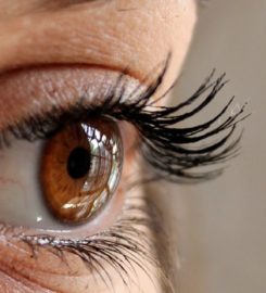 Awaken Your Inner Diva With Brow Shaping and Lash Extensions