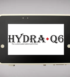InHand Electronics Incorporated