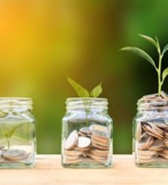 BlueStar Retirement Services, Inc.