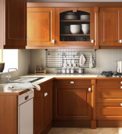 Lifestyle Remodeling