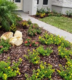 Made in the Shade Landscape Management