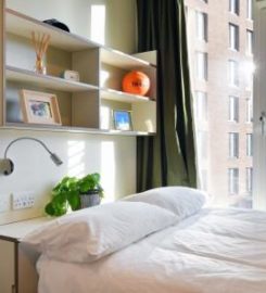Homeinabroad Pvt Ltd